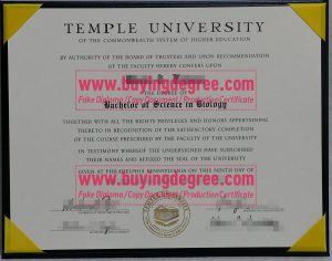 Temple University degree