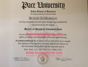 fake Pace University degree certificate