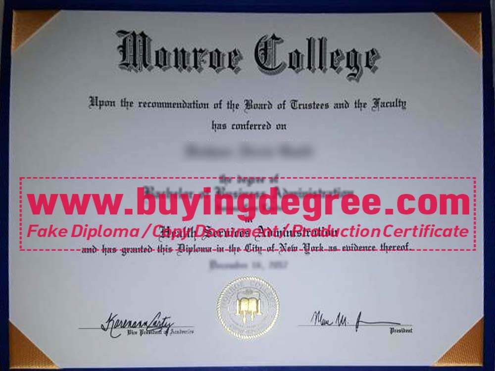 Monroe University MBA degree